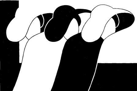 serigrafia in biano e nero