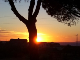 Leggi il seguito